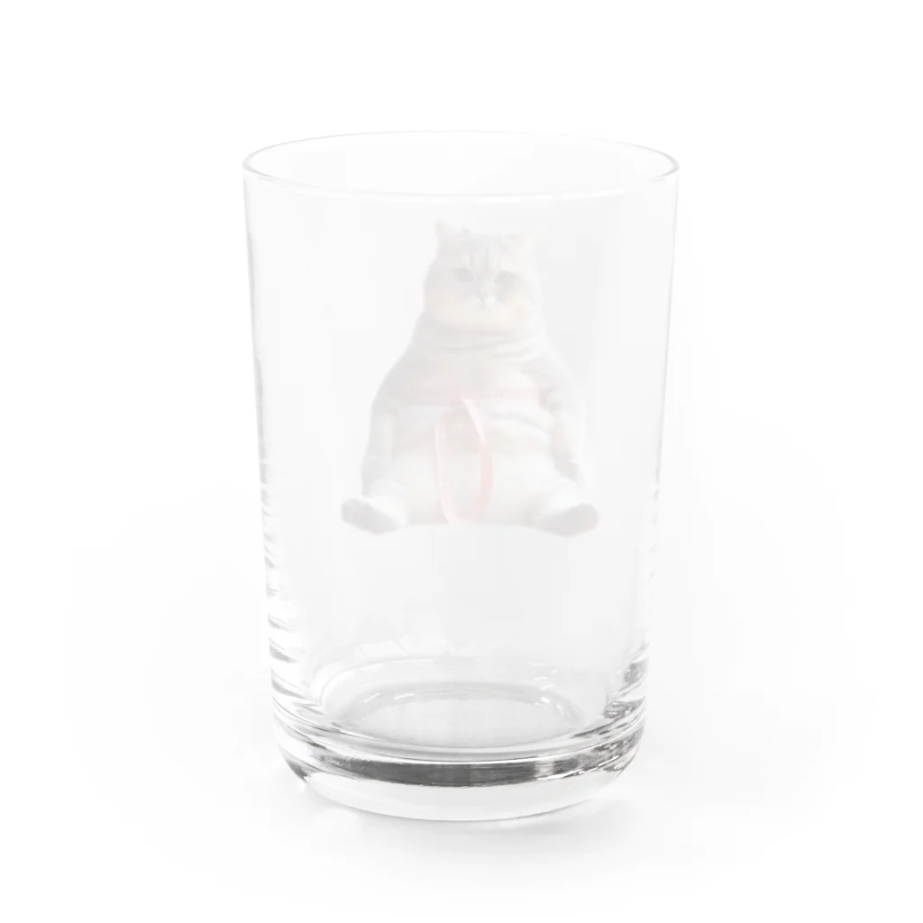 zatto_00のダイエット中の猫 Water Glass :back