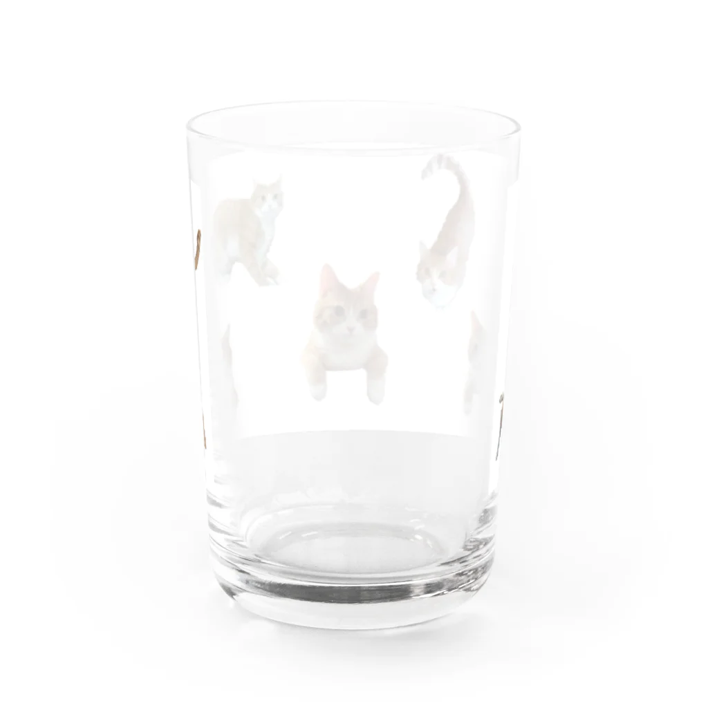 Me_canのみかんがいっぱい Water Glass :back