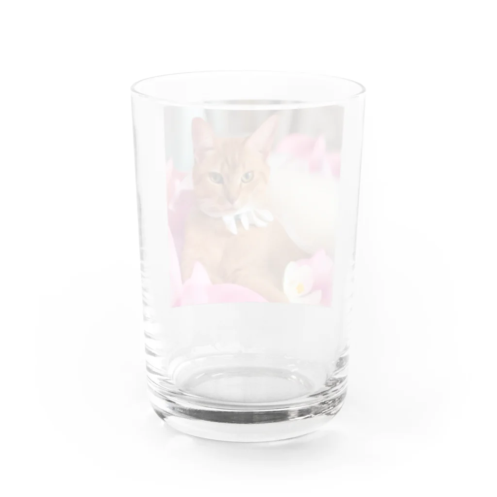 kamaraのkamala Water Glass :back