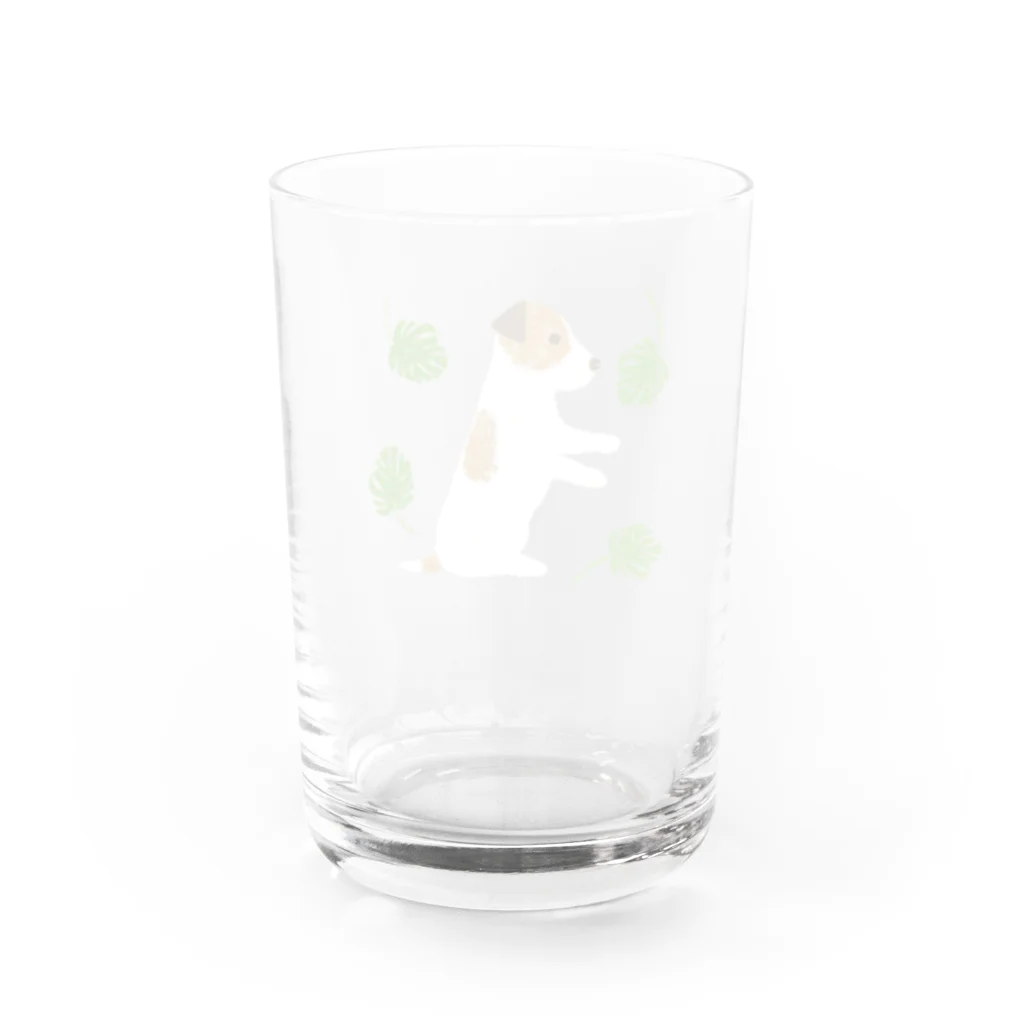 ジャックラッセルテリアのお店のモンステラを Water Glass :back