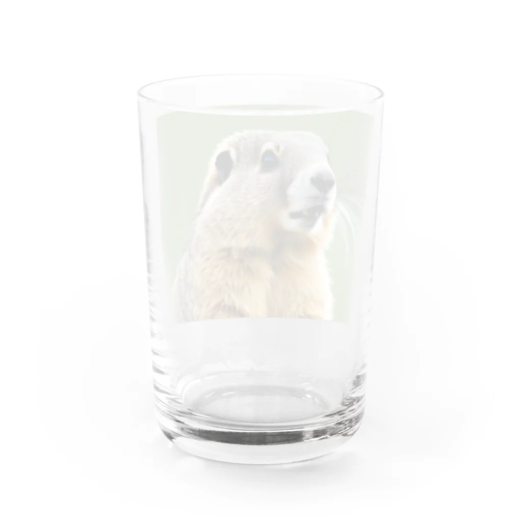 ジャパネットケフィアのぽってりマーモット(小物) Water Glass :back