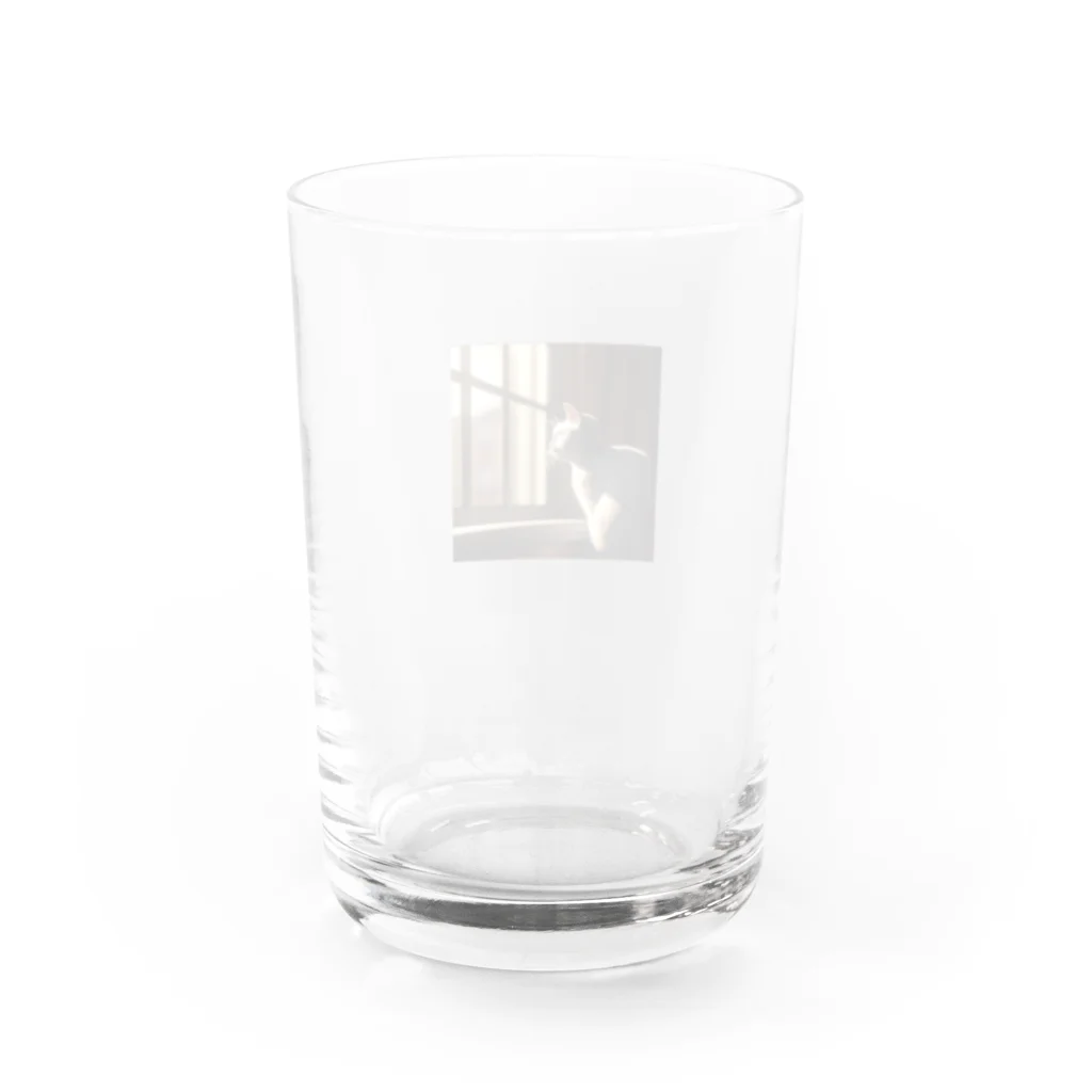 yangjiedaoyuanの外を見ている猫 Water Glass :back