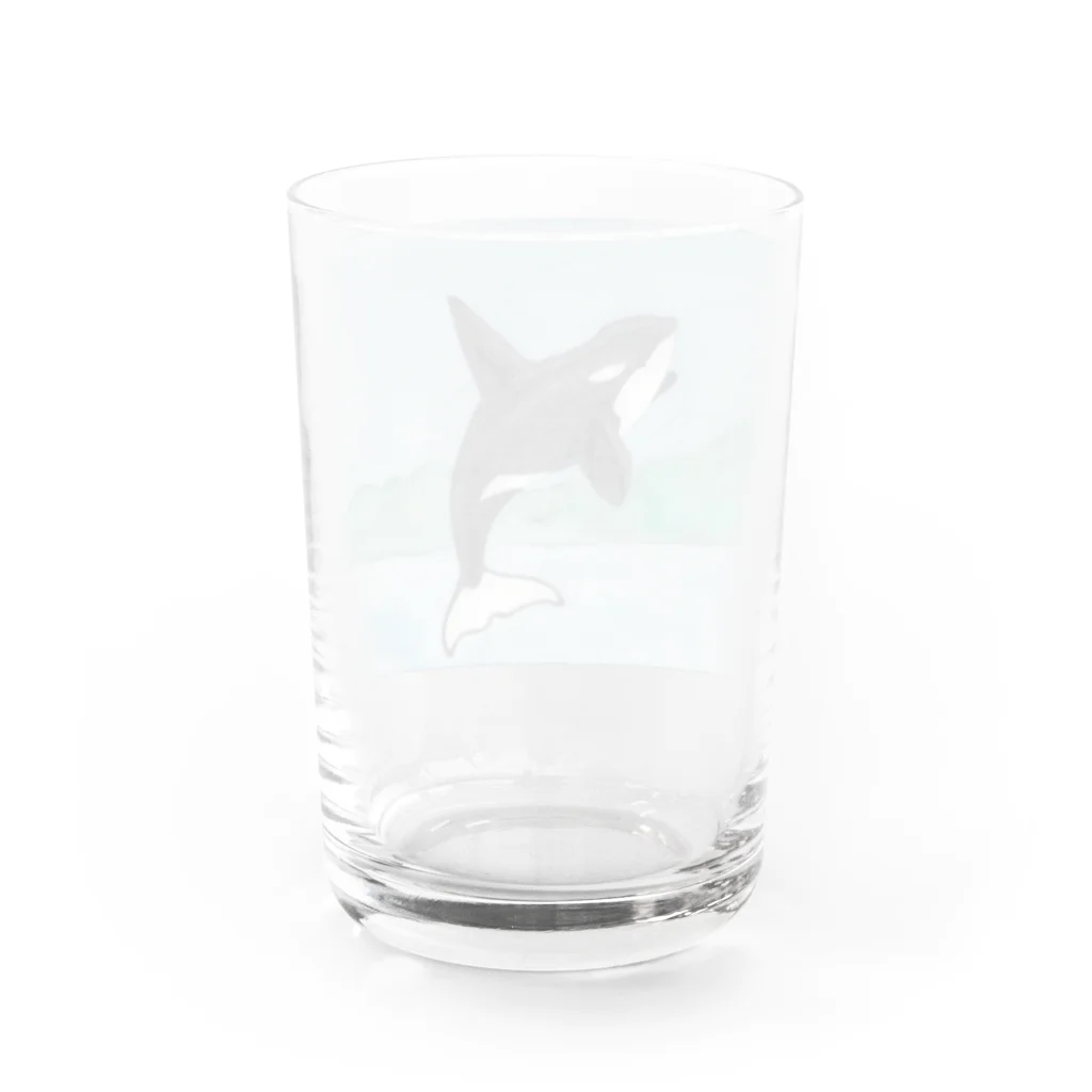 つぎのシャチ Water Glass :back