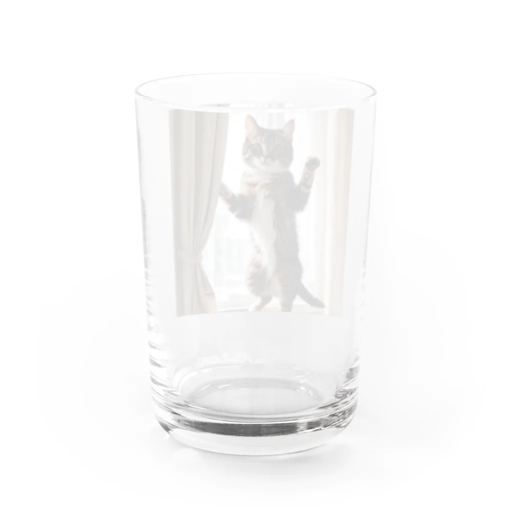 DQ9 TENSIのカーテンと遊ぶ愛らしい猫ちゃん Water Glass :back