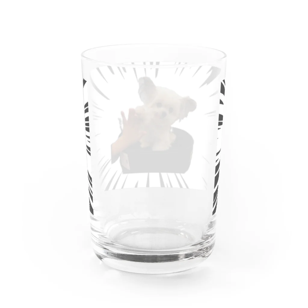 るるの店の迫力ある可愛犬 Water Glass :back