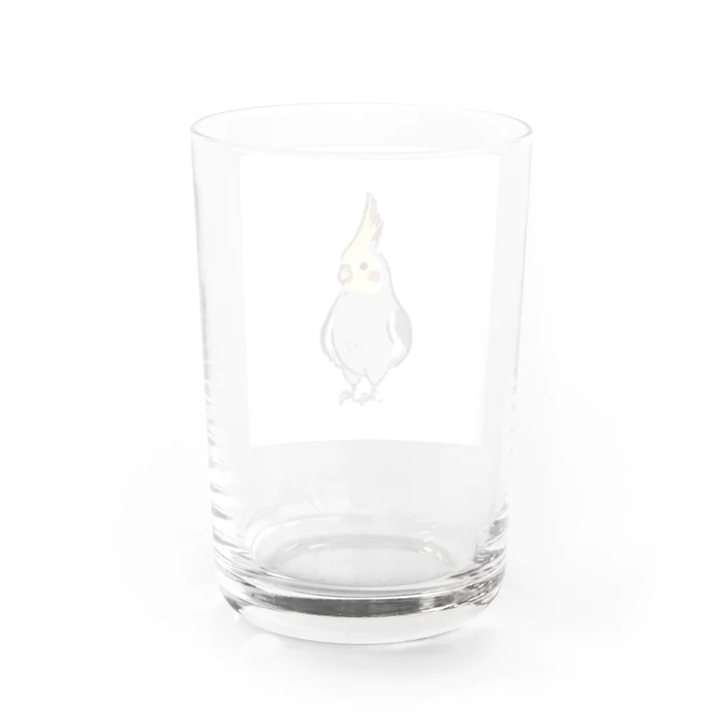 paguyoのオカメインコRocky Water Glass :back