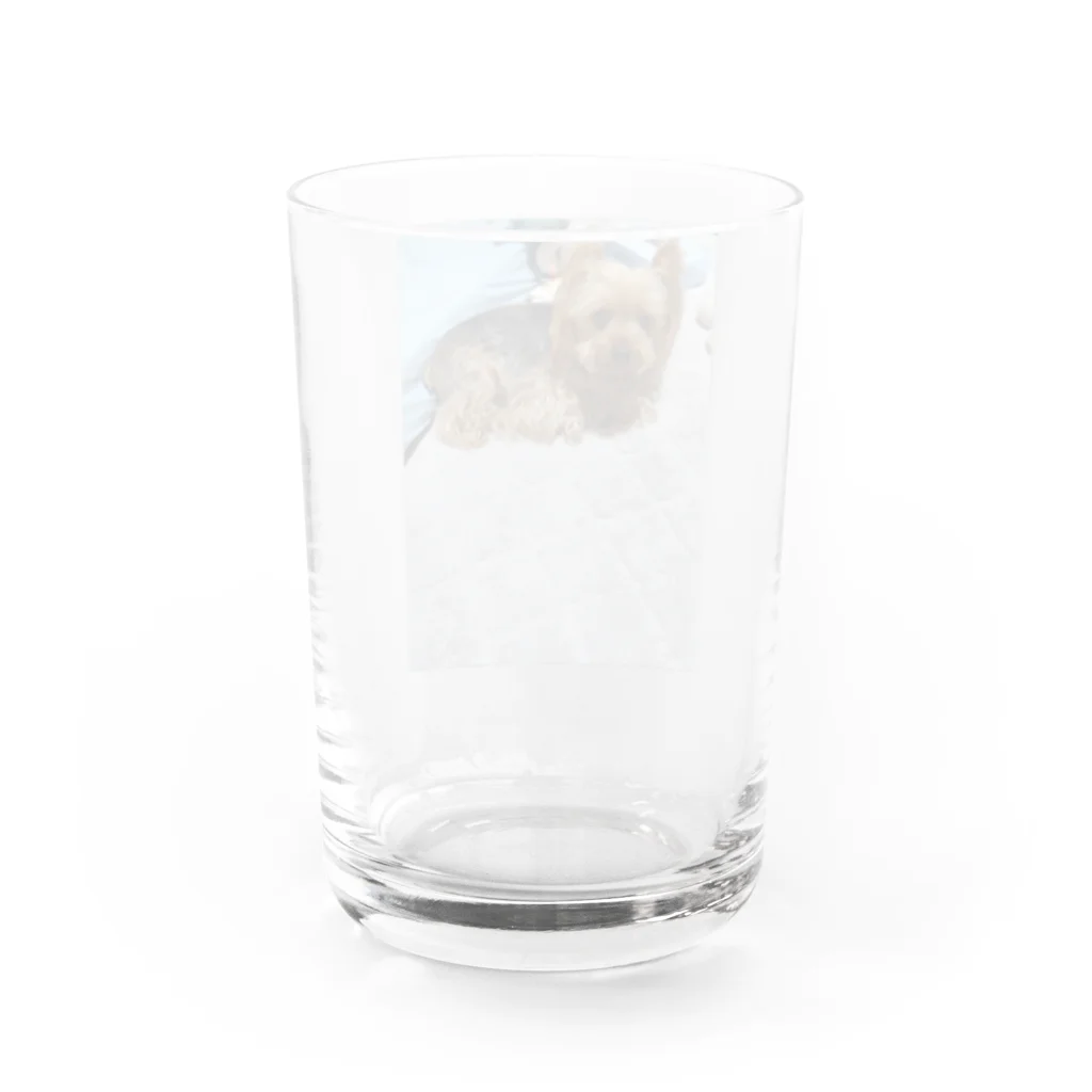 ベイビーちゃんのアレンくん Water Glass :back