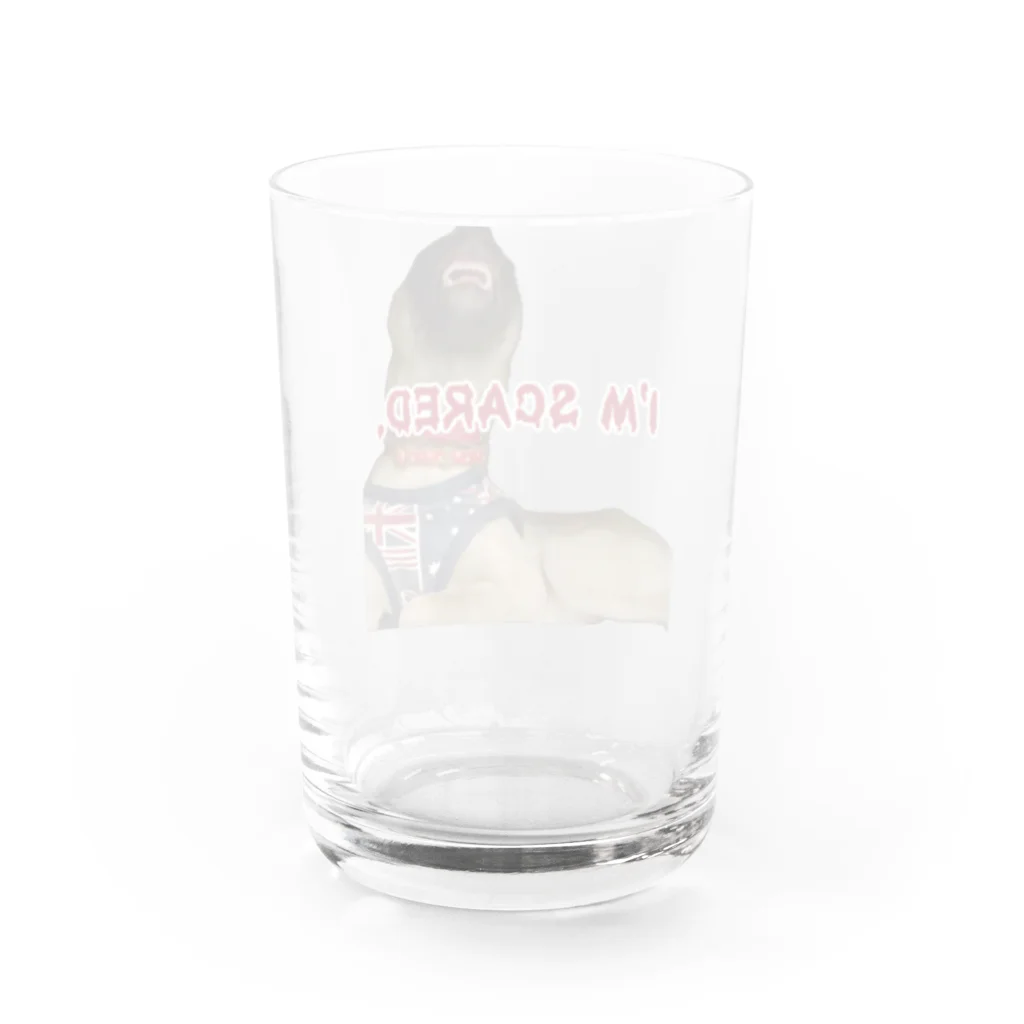 毛玉のおうちチャリティーグッズ販売suzuri部のI'M SCARED. Water Glass :back