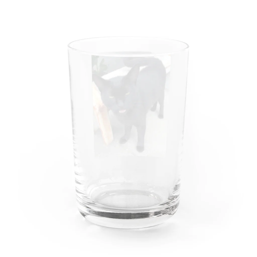 nightwalkerの黒ひょうぜッッ！ Water Glass :back