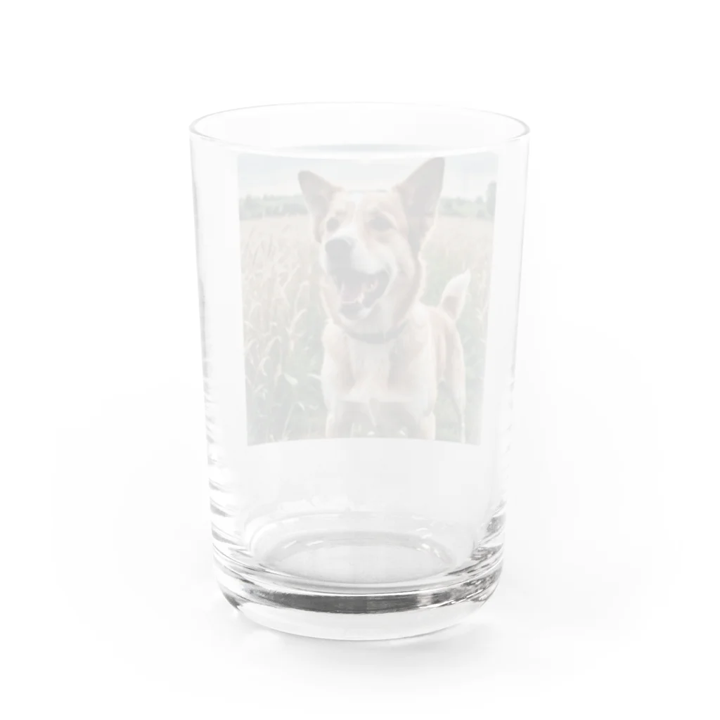kokin0の畑で微笑む犬 dog smailing in the ground Water Glass :back
