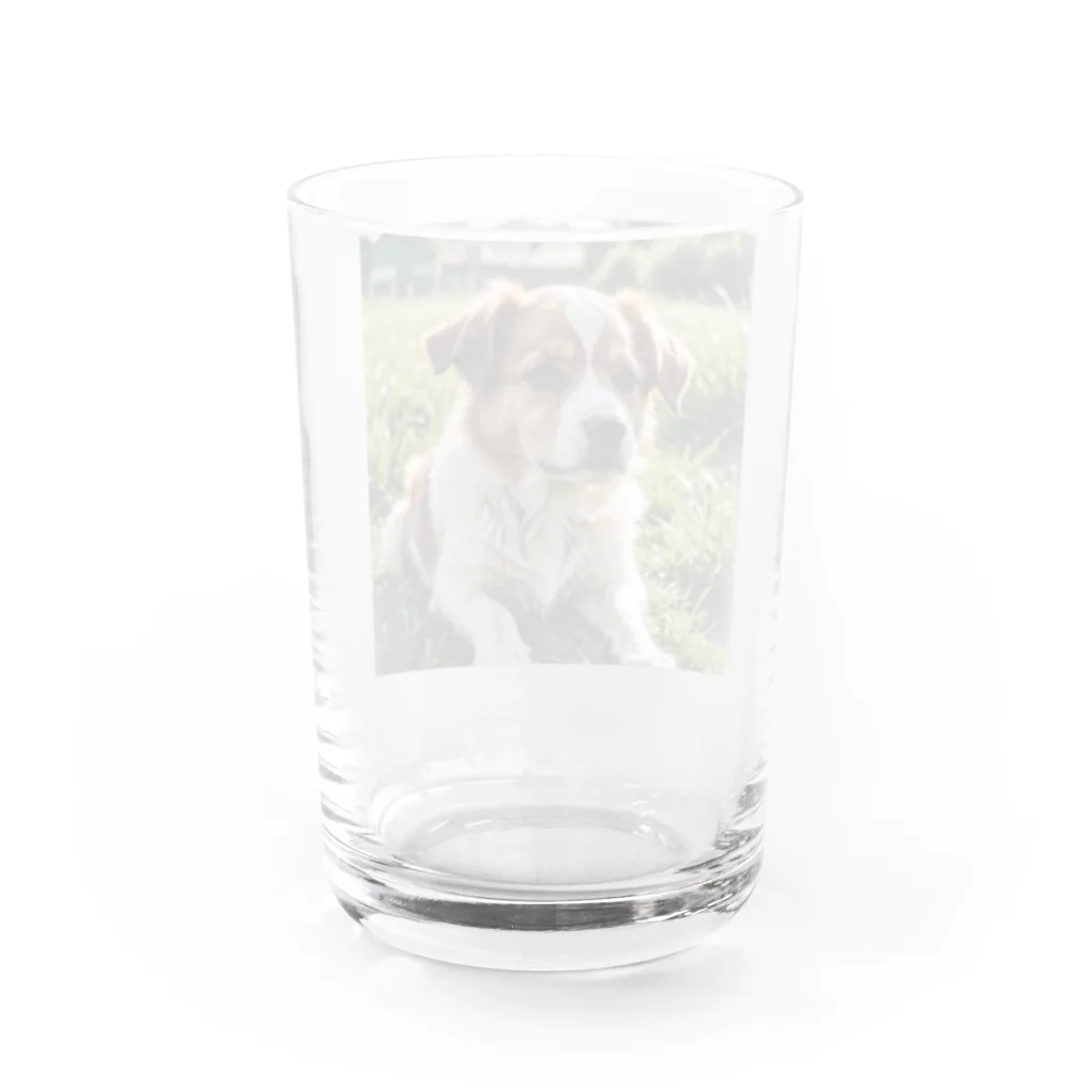 kokin0の草むらで斜めを見つめる犬 dog looking for the anywhere Water Glass :back