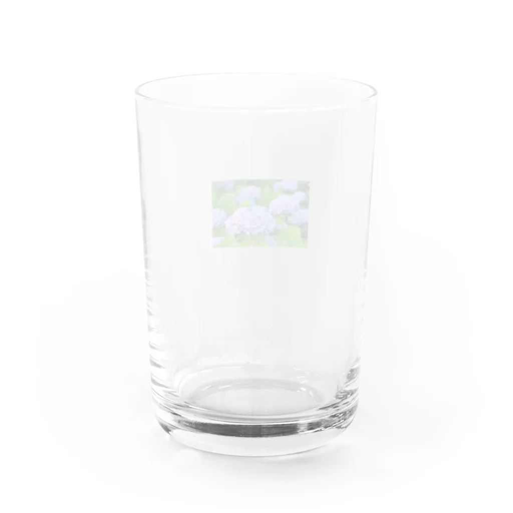 アッキーSTjのあじさい Water Glass :back