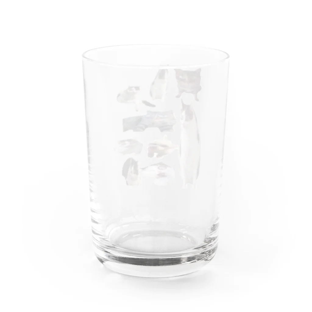 にゃんにゃんのねこいぬねこ Water Glass :back