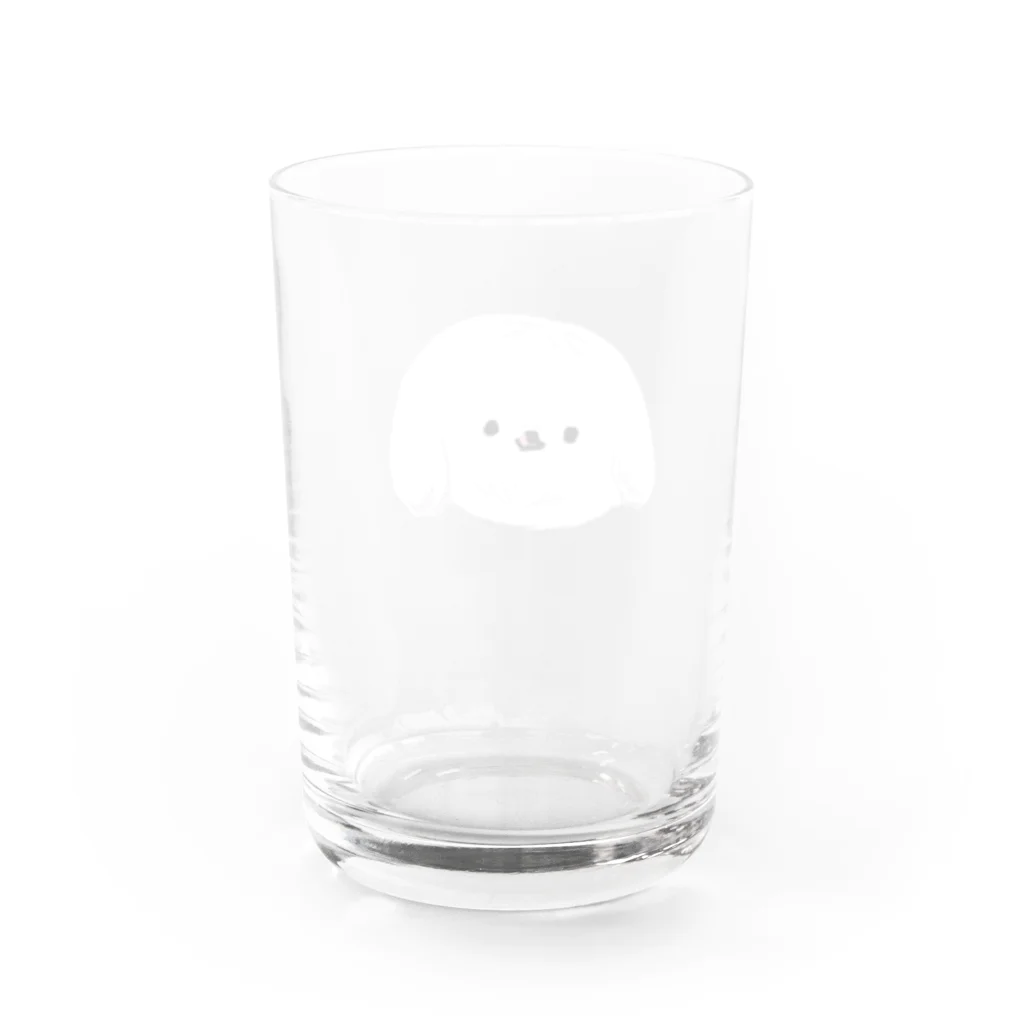 テレパシーズー犬のはなぺろぺろ Water Glass :back