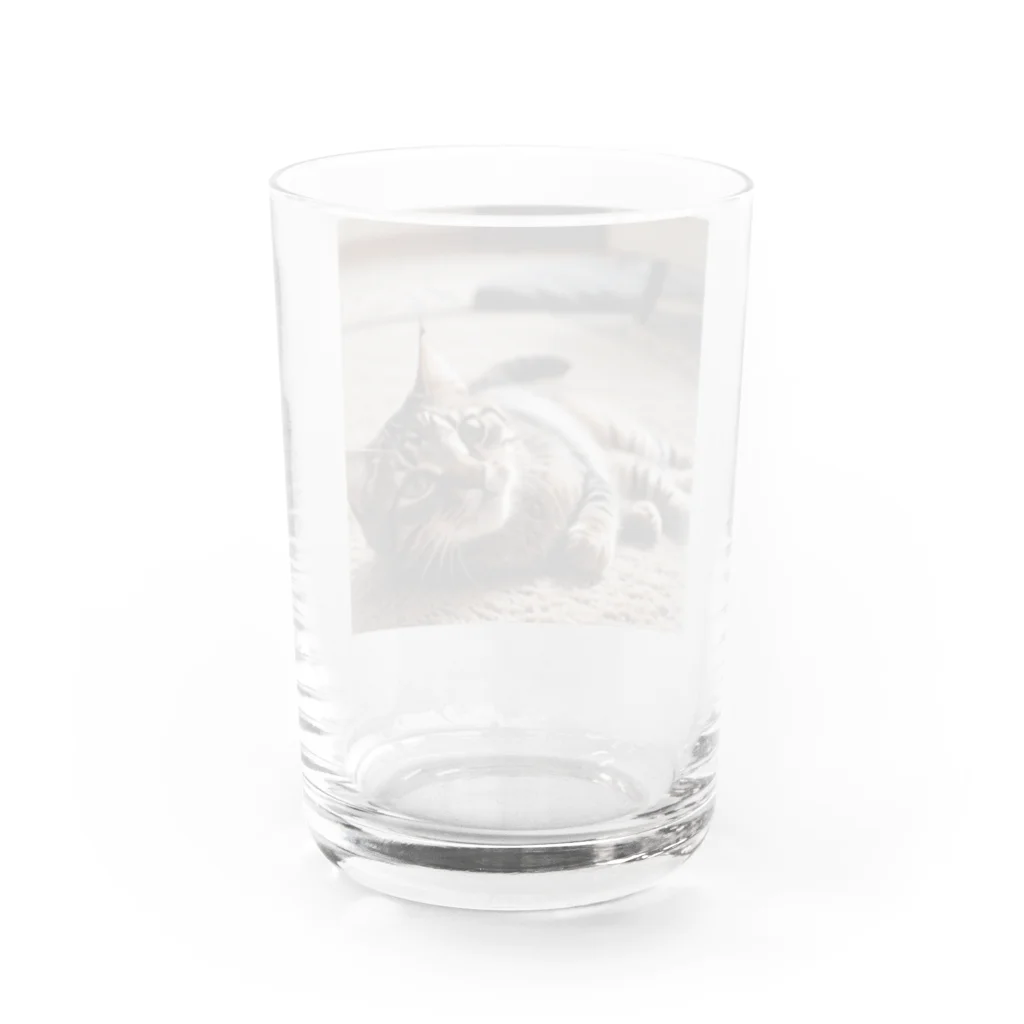 zigerparkの寝転ぶ猫 Water Glass :back