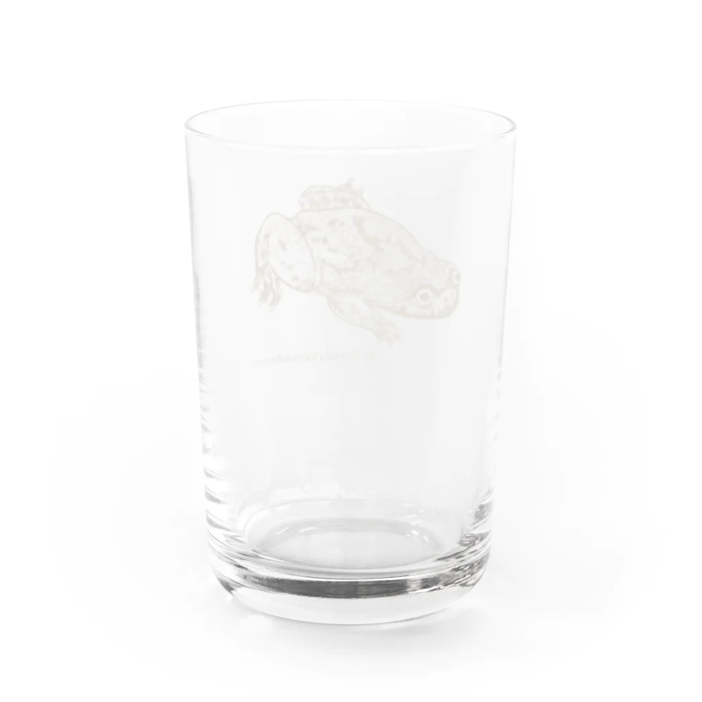 もえかい屋のBarbourula kalimantanensis Water Glass :back