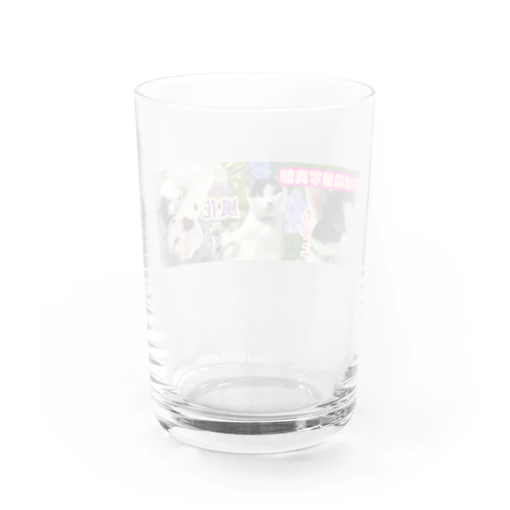 てこパカ🍀(tecopaca) の新肉球同盟写真部 紫陽花 Water Glass :back