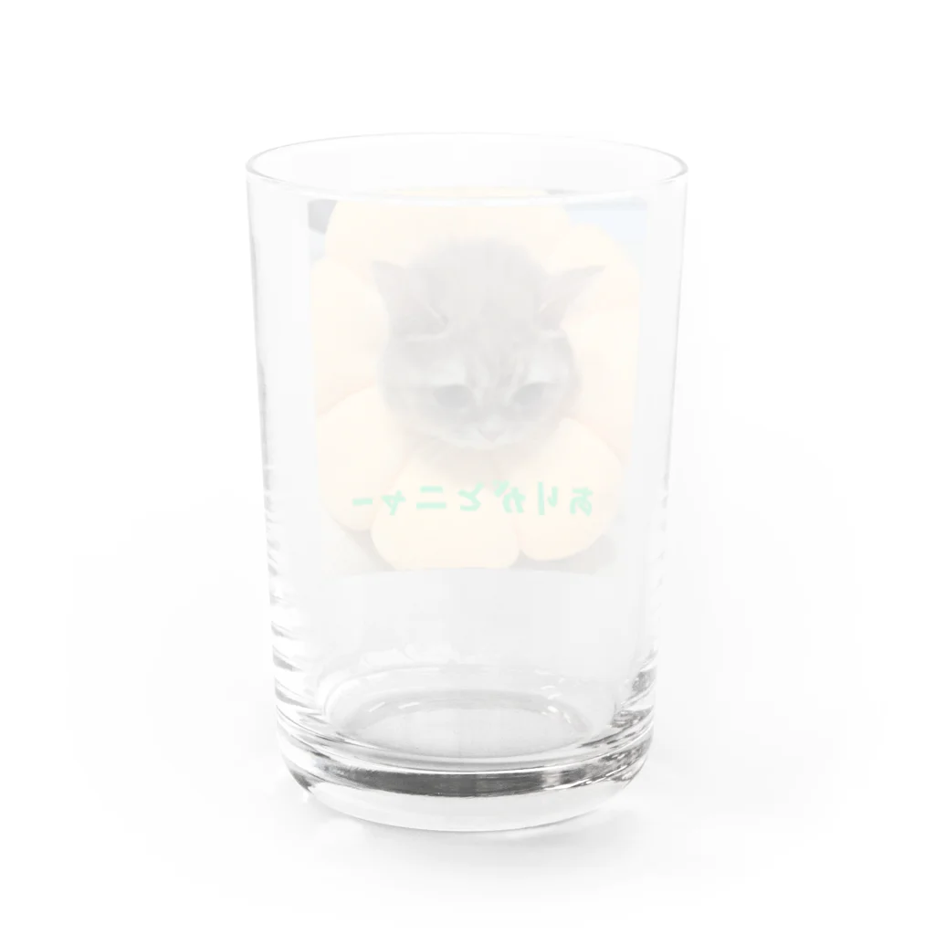 KONEKO_NEKOのありがとニャンコ Water Glass :back