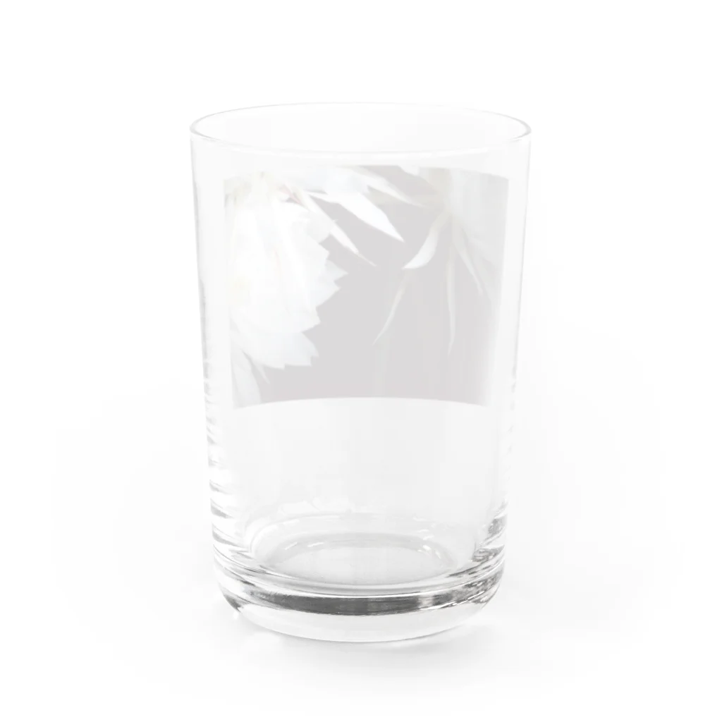 nuan.のげっかびじん Water Glass :back