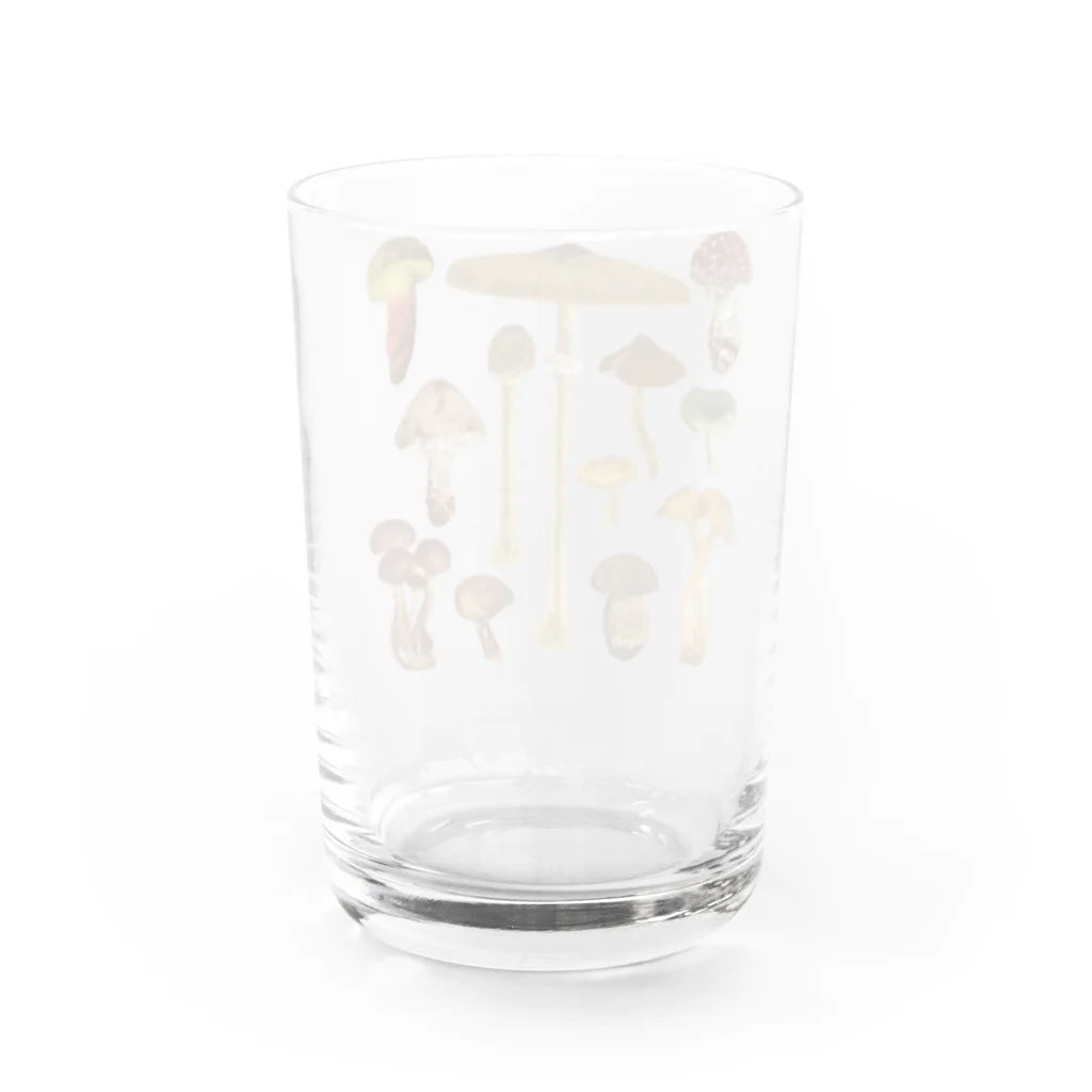 ひねもす屋　2号店のきのこ図鑑 Water Glass :back