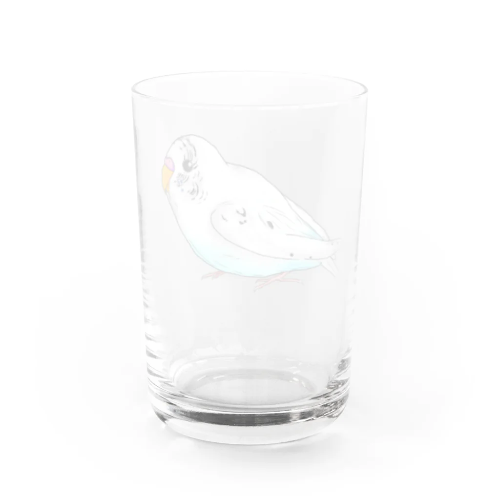 Lily bird（リリーバード）のセキセイインコのピーコちゃん Water Glass :back