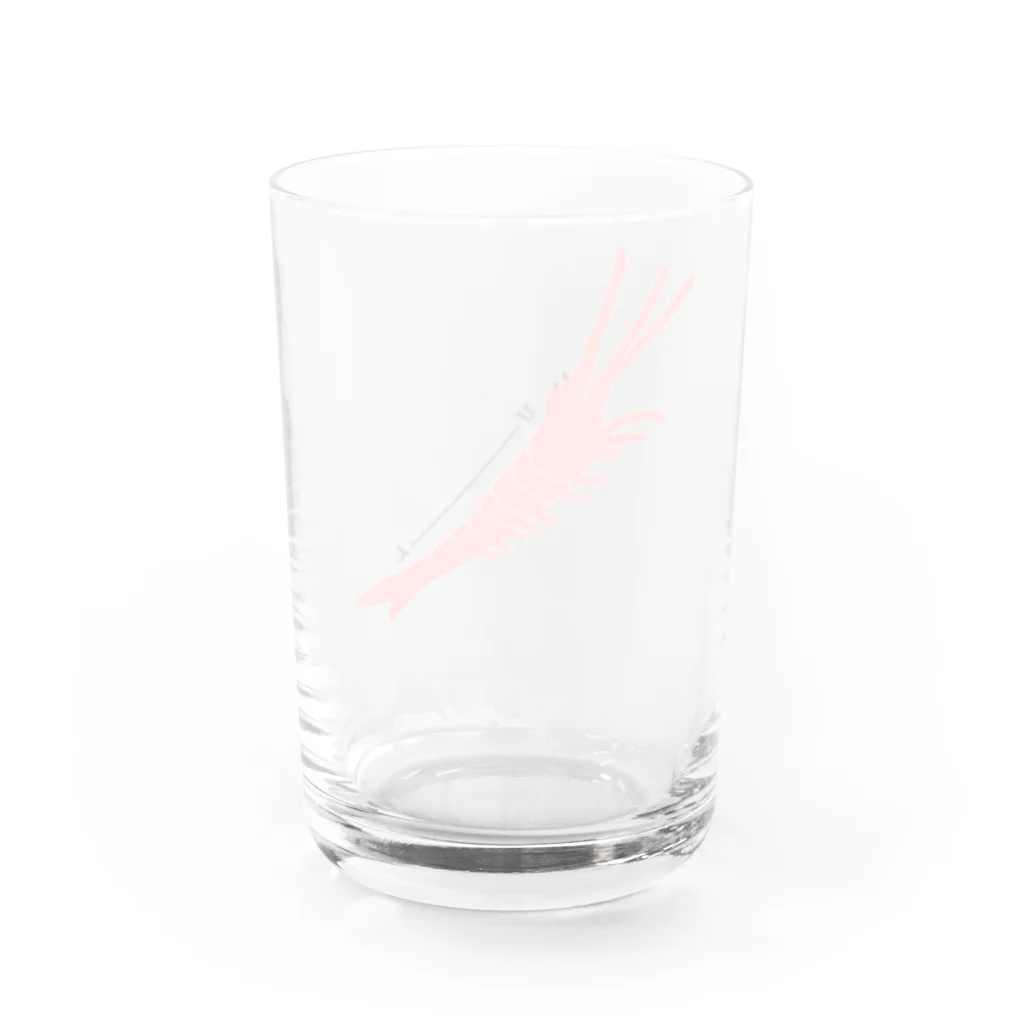 いづものみせの姿勢のいいエビ Water Glass :back