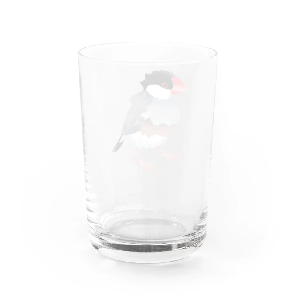 福みみチュンの濡れ文鳥 Water Glass :back