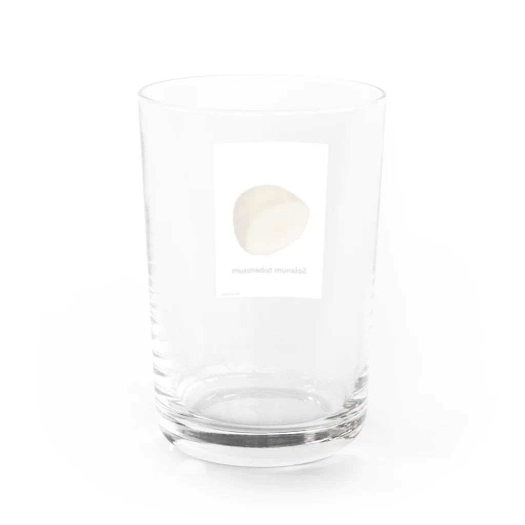 須沢 晴菜のじゃがいも(カット) Water Glass :back