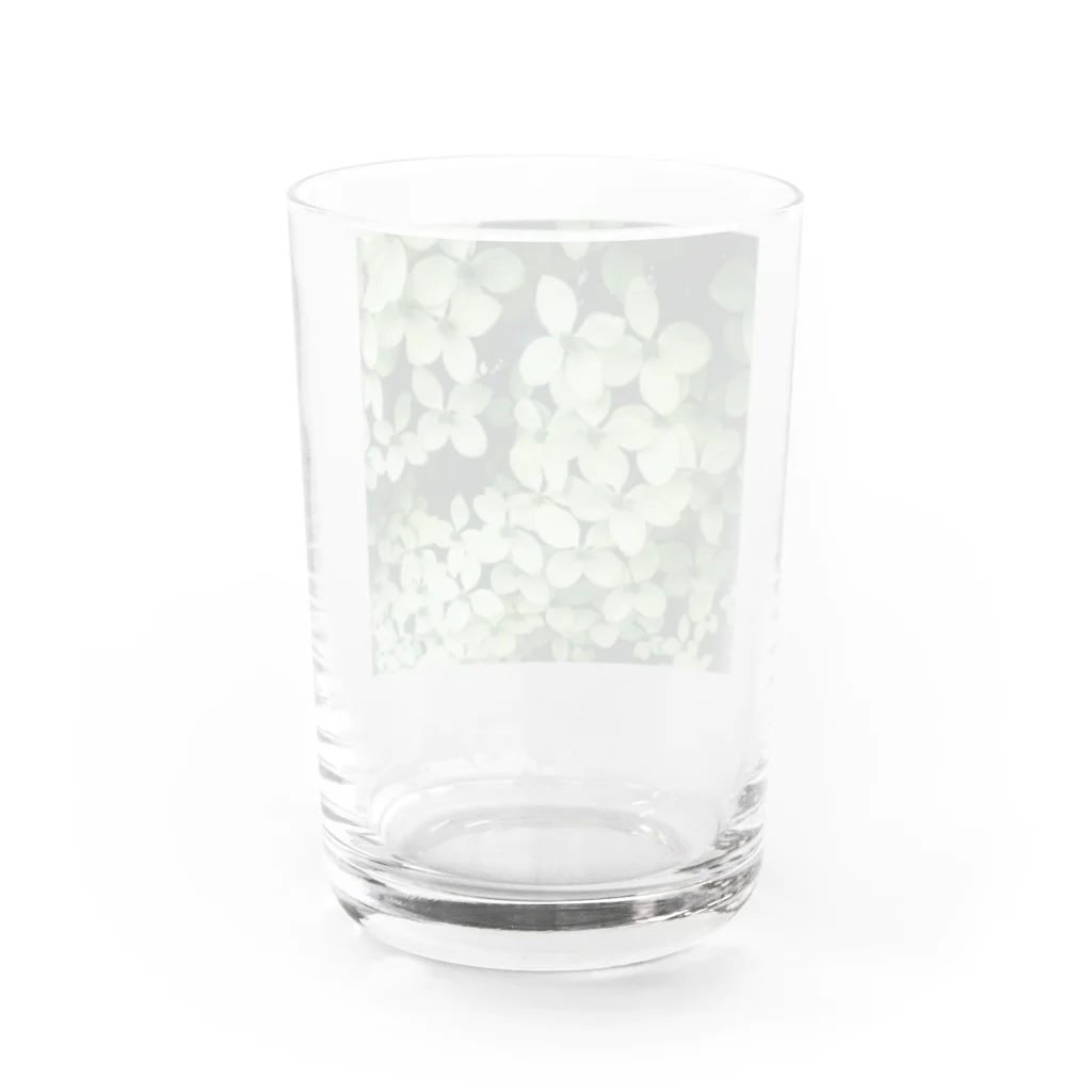 8216vividの梅花空木 Water Glass :back