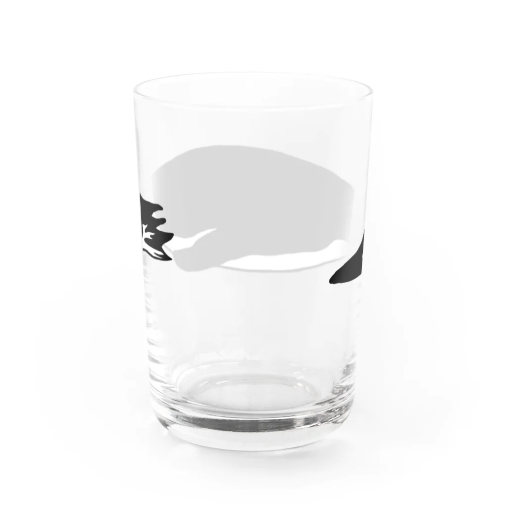 liliumのペンギン Water Glass :back