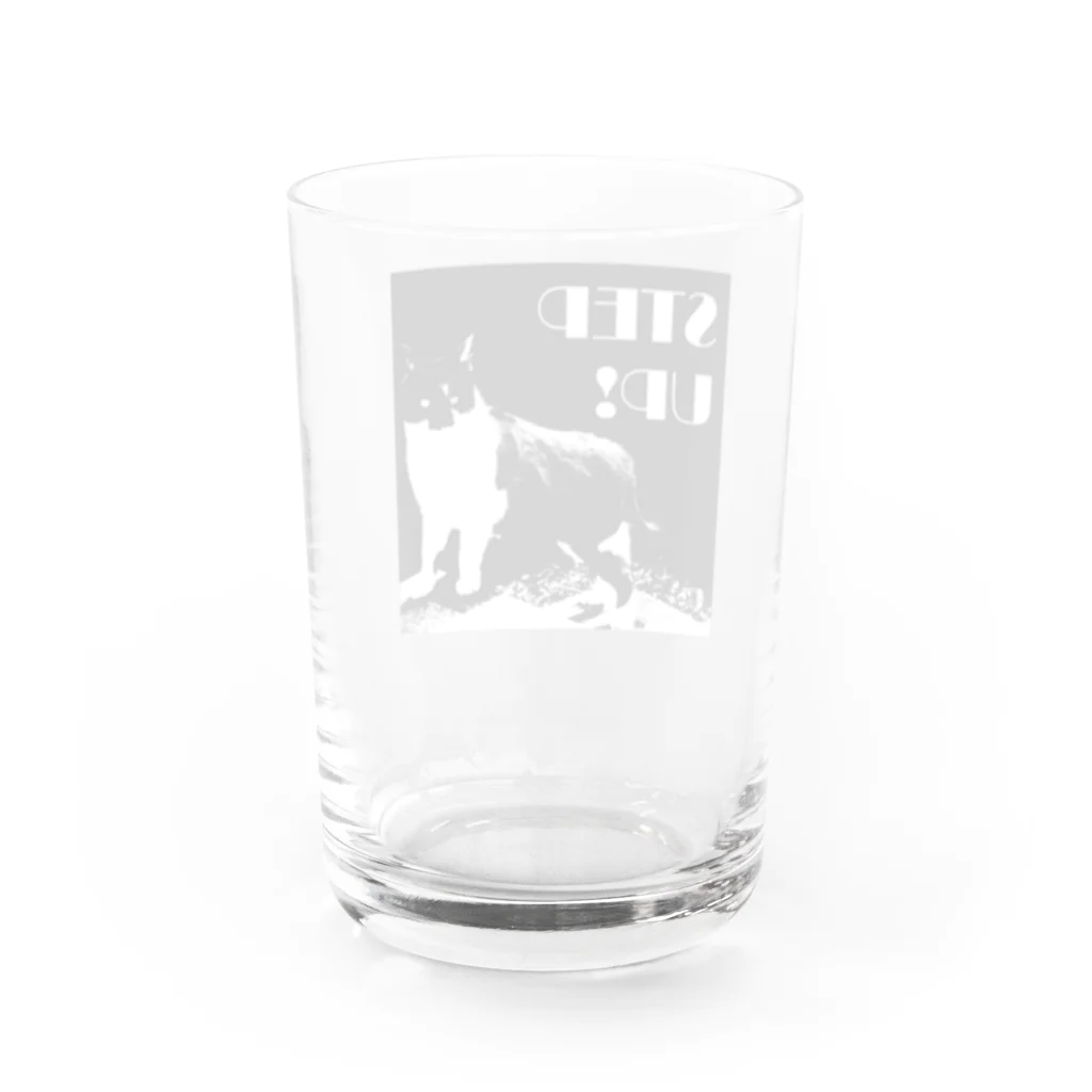 川原ナツミのSTEP UP!ねこ Water Glass :back