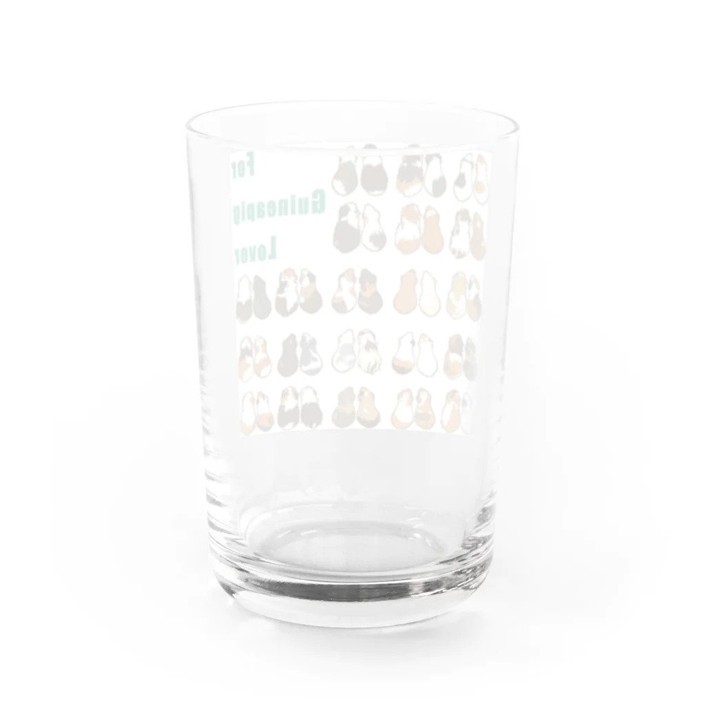 Lichtmuhleのシンプルモルモット２背面 Water Glass :back