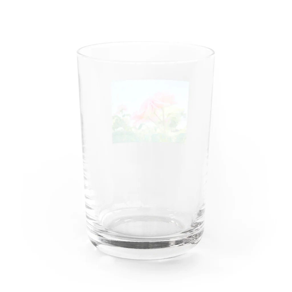 さんぽ / sampoのばらの香り Water Glass :back