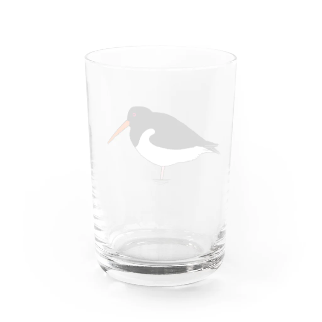 minatoriのミヤコドリさん Water Glass :back