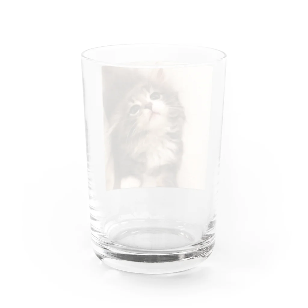 ノルウェー達ののるちゃん Water Glass :back