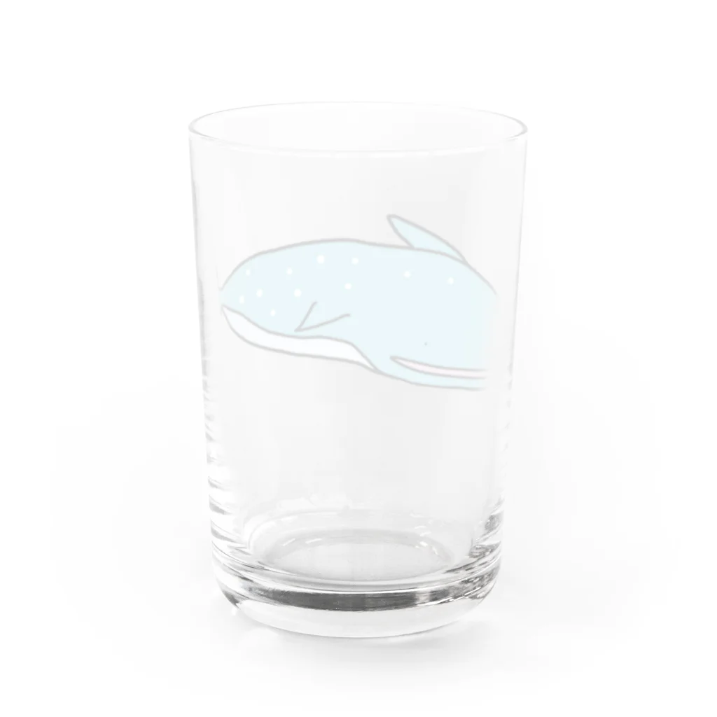 屋根裏ひみつ結社のジンベエザメ WAROLIER-ワロリエ Water Glass :back