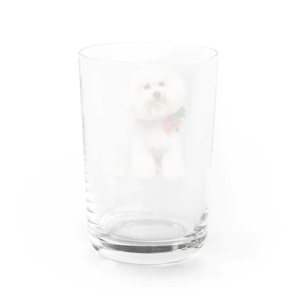 parkmansionのma01 Water Glass :back