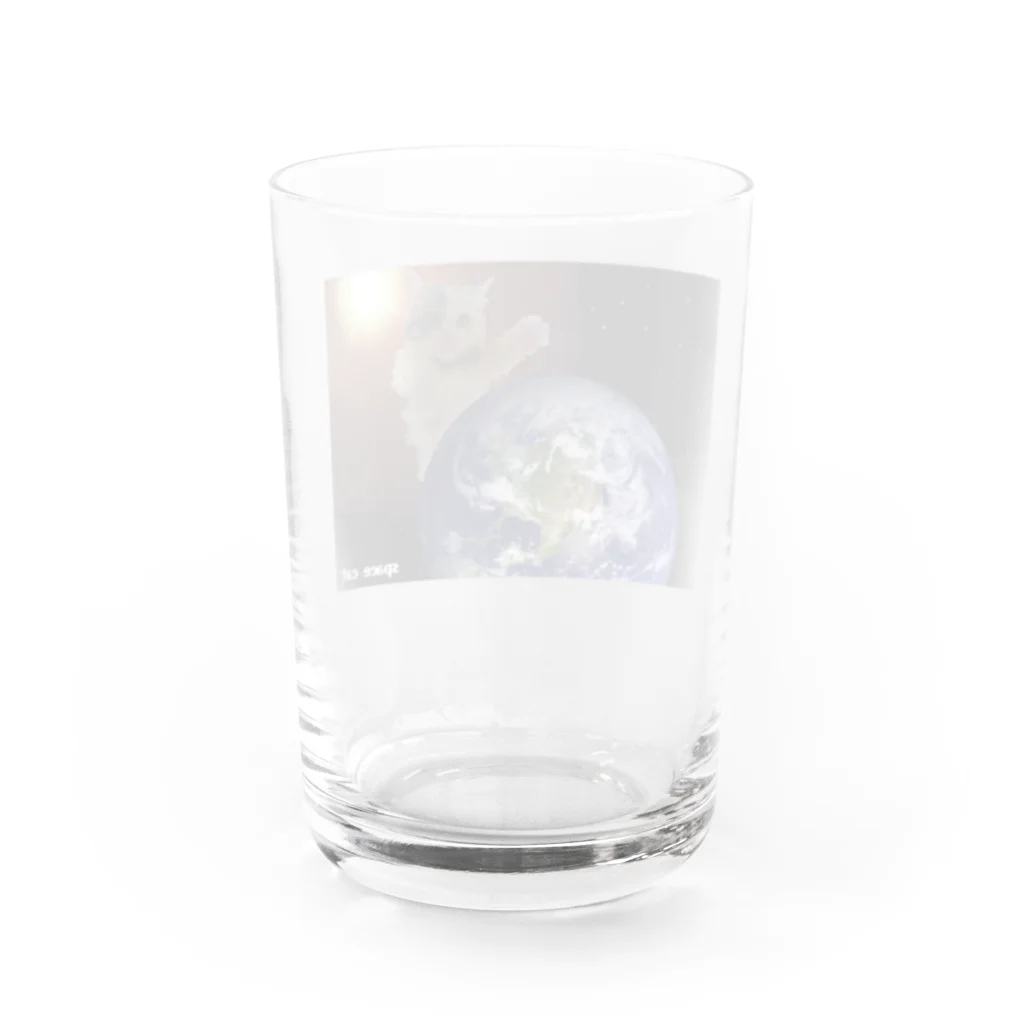 おもち屋さんのスペースキャット地球侵略 Water Glass :back