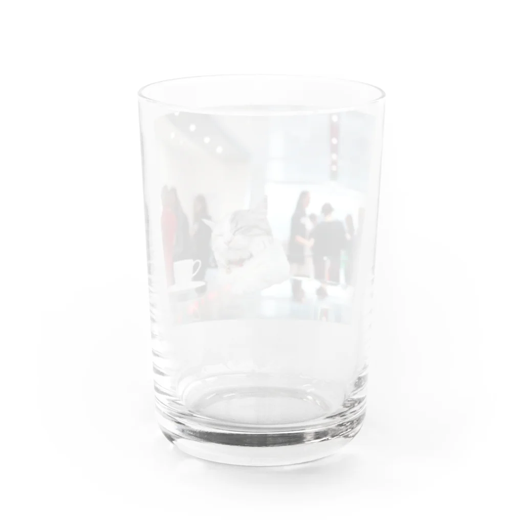 おもち屋さんのコーヒーブレイク Water Glass :back