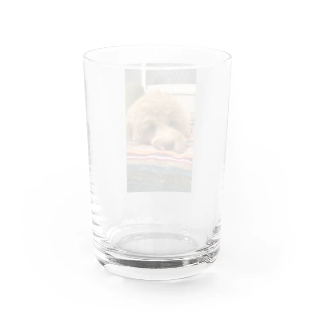 08gum20のラブラドゥードル Water Glass :back