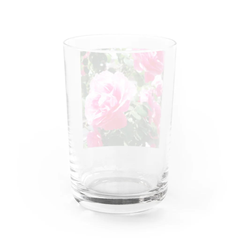或る by 千～sahasraのpink rose Water Glass :back