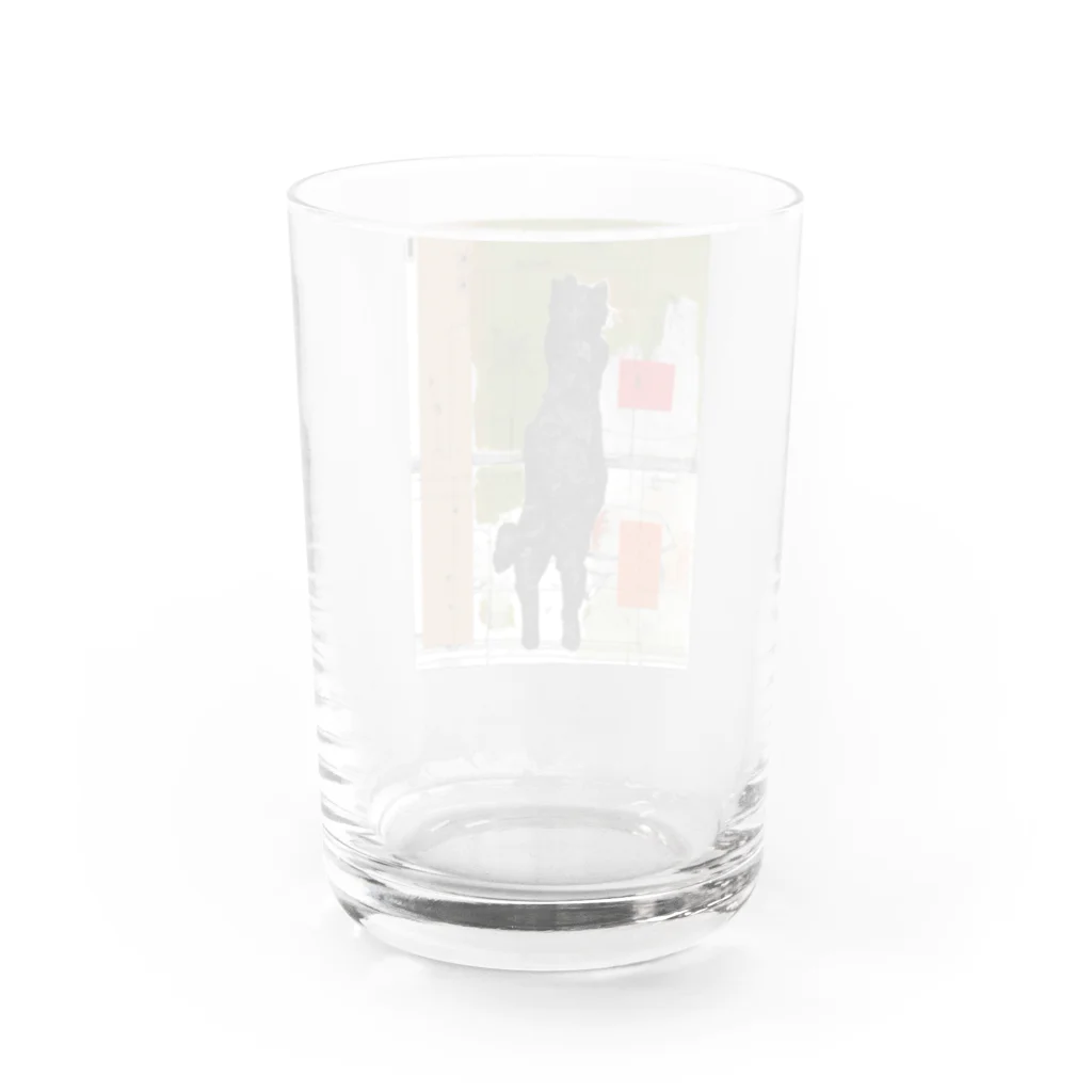 樽猫堂  安部円子のそと見る猫 Water Glass :back