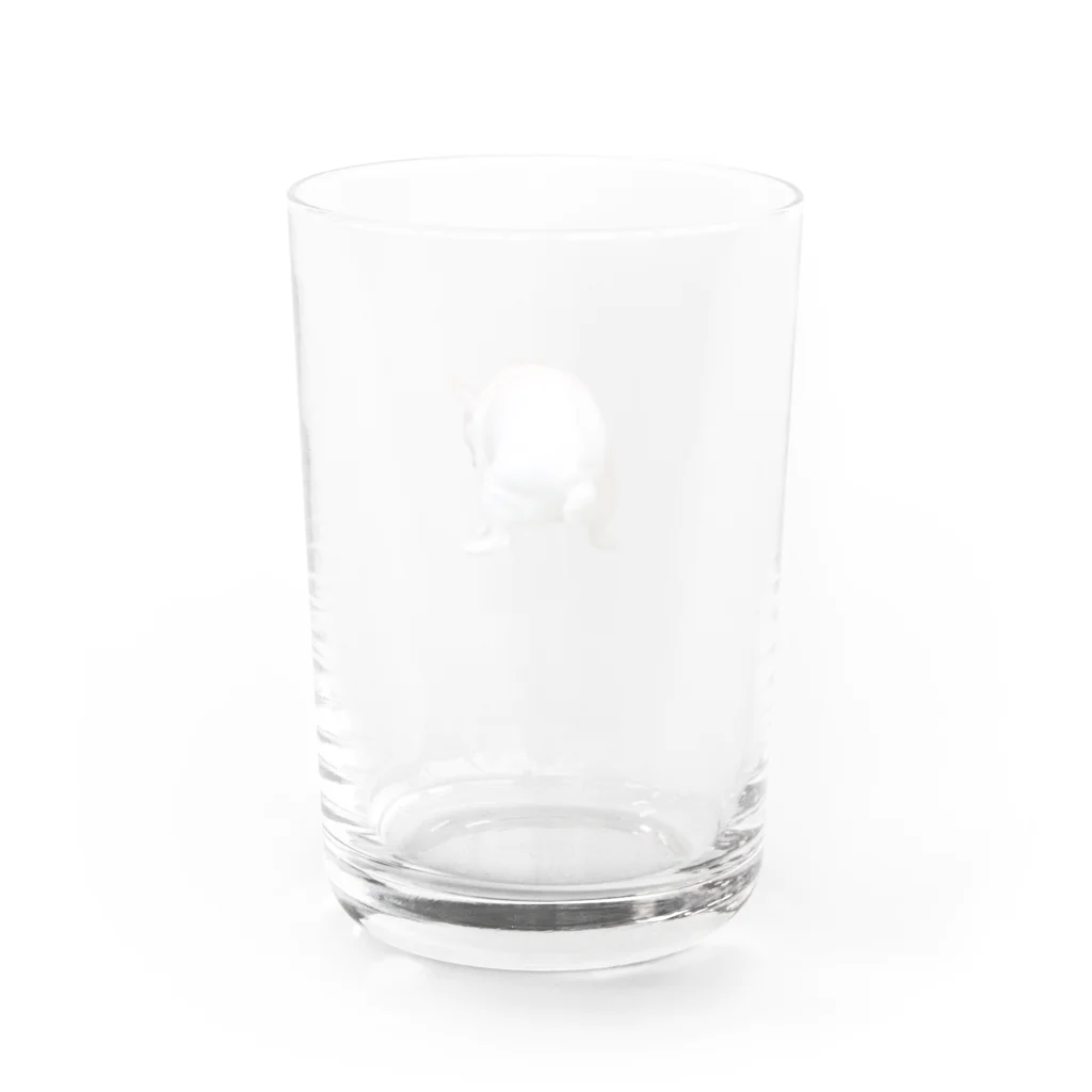 フレンチブルドッグうぱのいきむフレンチブルドッグ(リアル) Water Glass :back