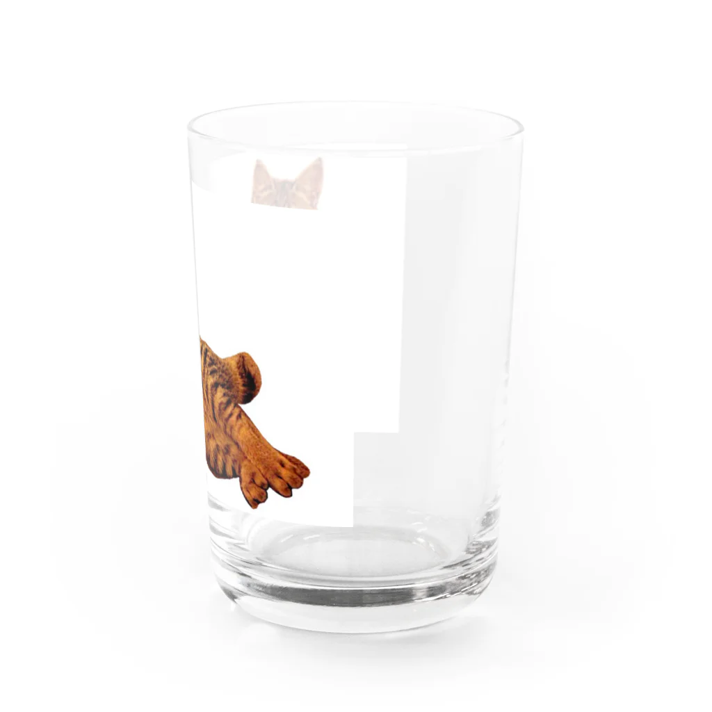 Elegant CatのElegant Cat ③ Water Glass :back