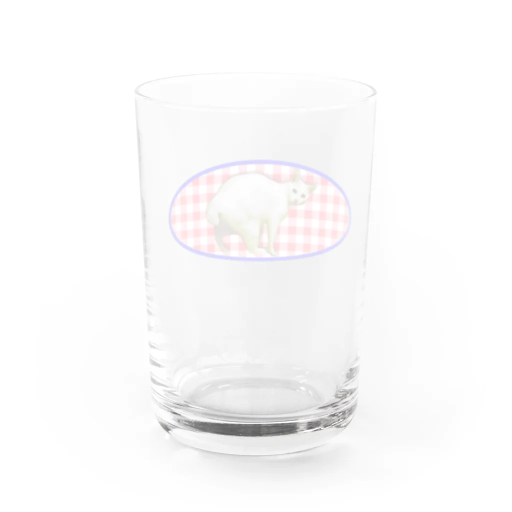 ねこだいすきばばあのGINGAM NEKO Water Glass :back