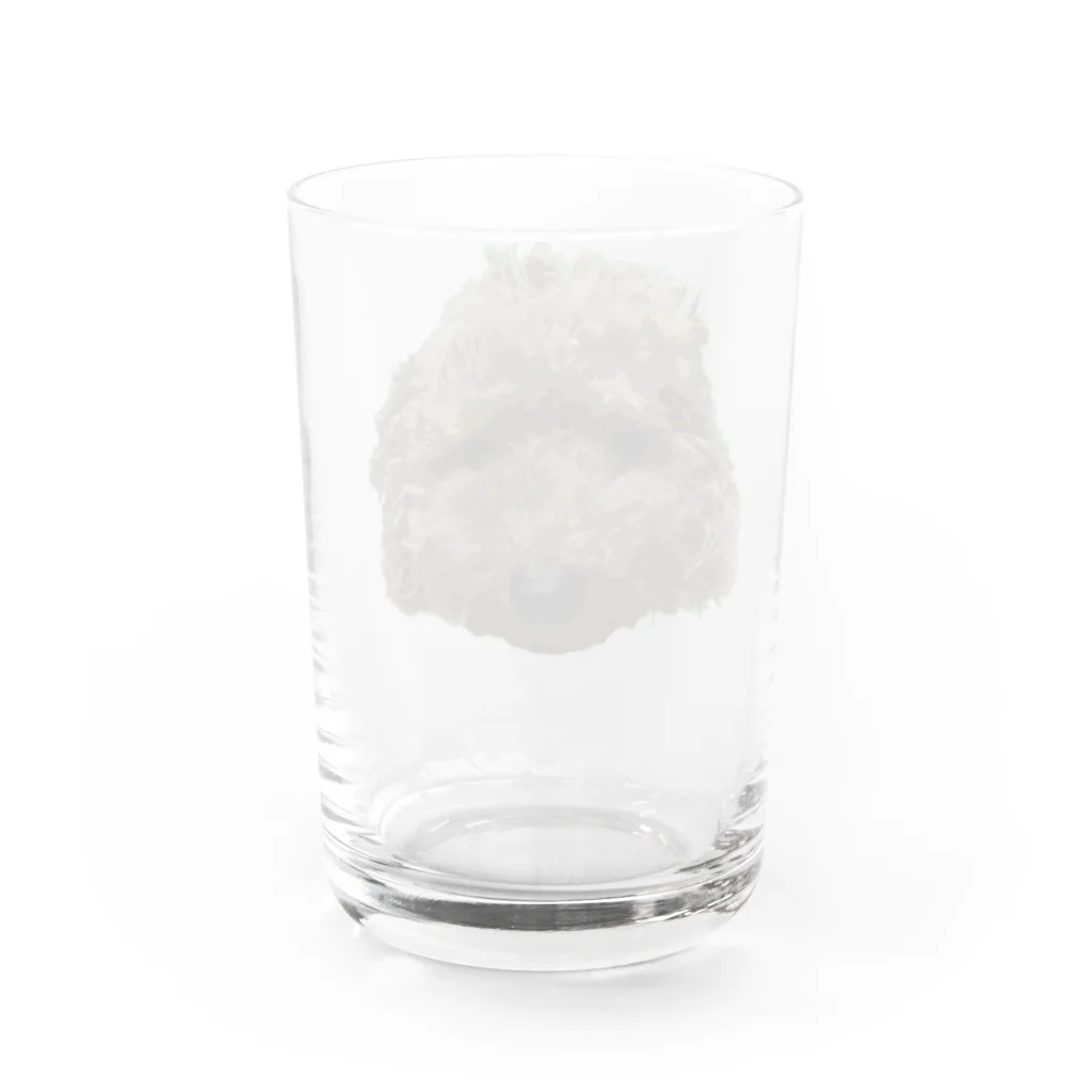 NORITAMAのトイプードル Water Glass :back