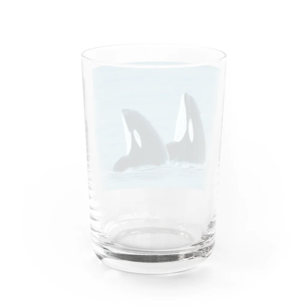 Ori-iro　イルカやシャチをお届け！のダブルスパイホップシャチ グラス反対面