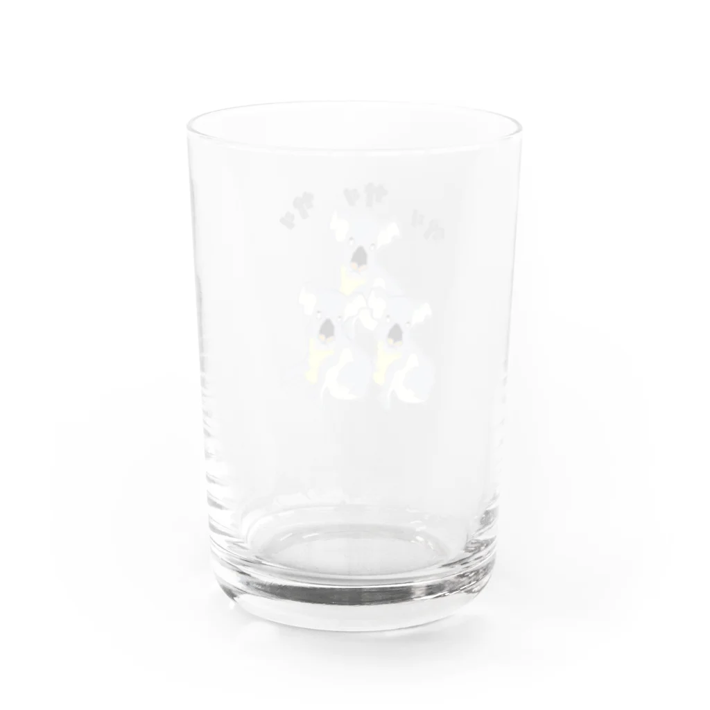 ぎょんすの寺子屋のコアラ Water Glass :back