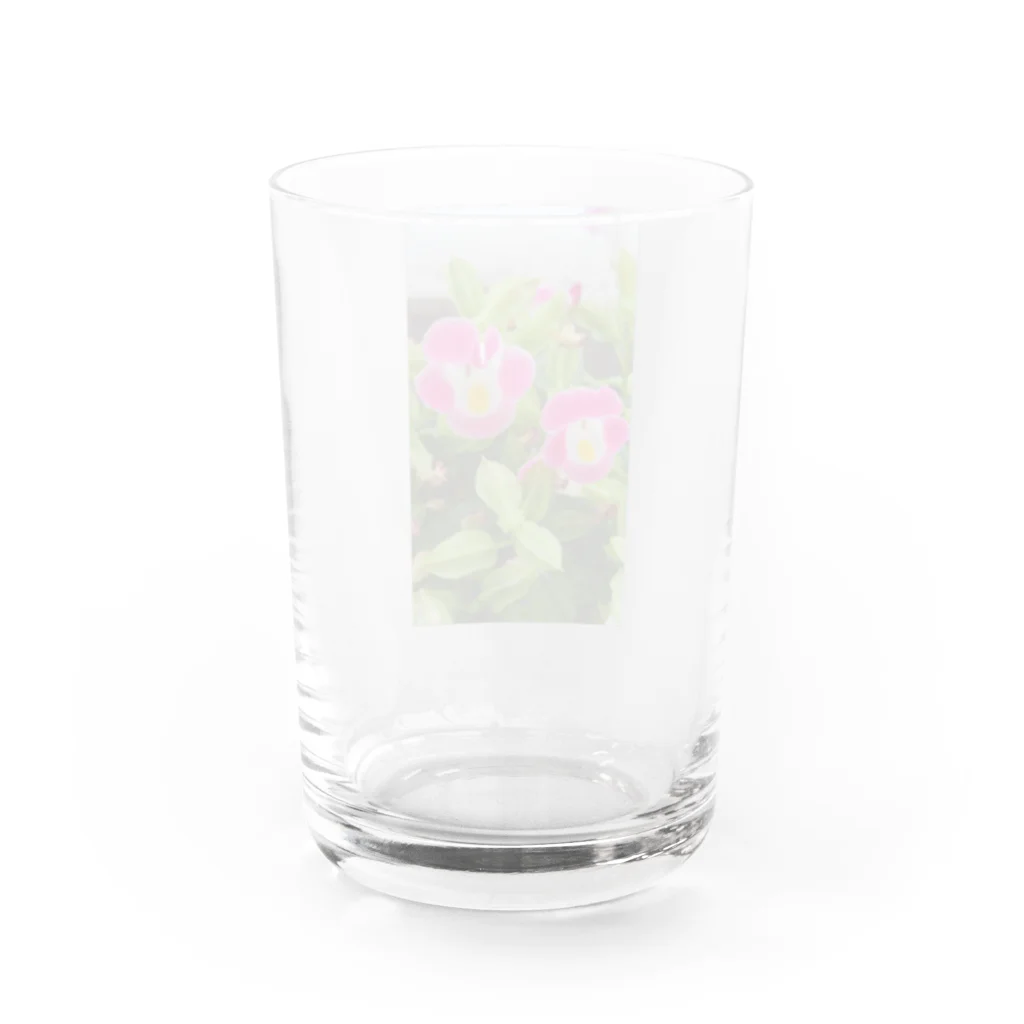 飼育係のFlower Water Glass :back