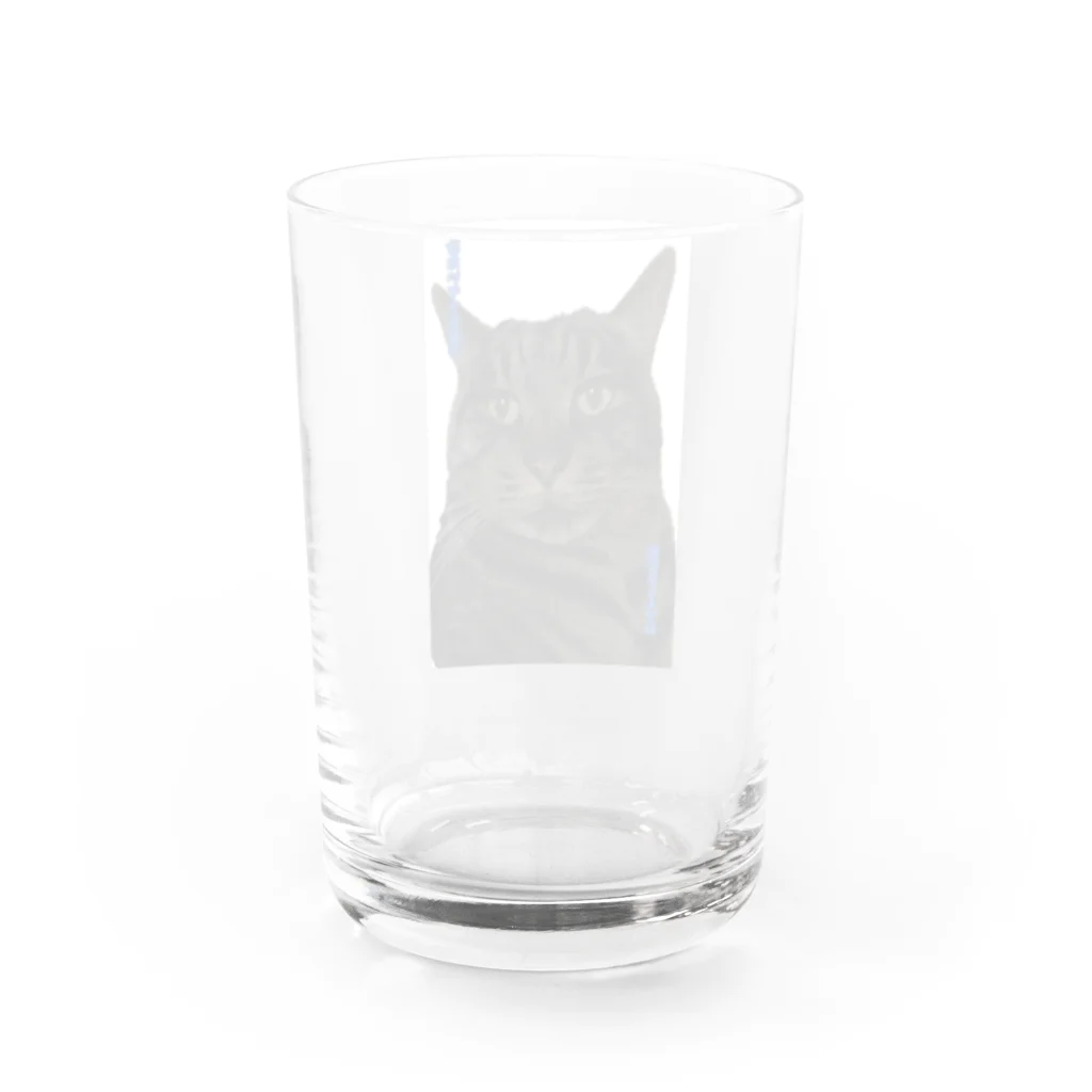 Chrisの猫舌さん用 Water Glass :back